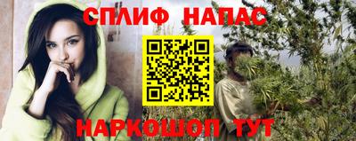 крисы Сланцы