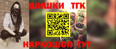 крисы Сланцы