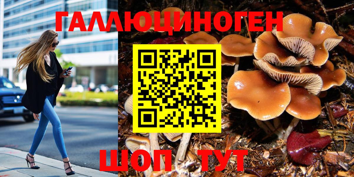 закладка  Псилоцибиновые грибы MAGIC MUSHROOMS  Новочебоксарск  Вход с VPN  Псилоцибиновые грибы прущие грибы 
